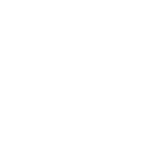 Phoenix Logo Square